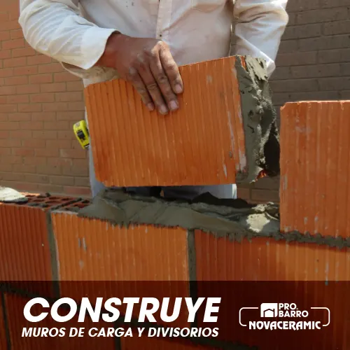 Ladrillos Repellableswebp